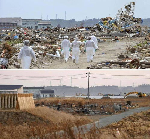 日本地震，从灾难到重建的坚韧之路