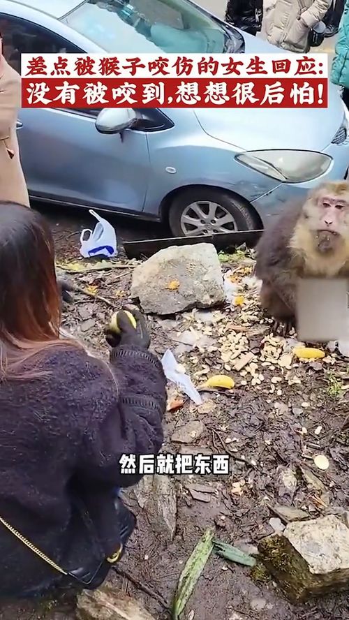 景区回应，女孩遭男子水枪攻击致失明事件调查与处理