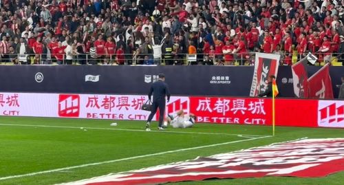 成都蓉城回应球迷涂鸦侮辱河南足球事件